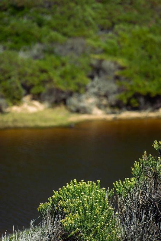 0 Bedroom Property for Sale in Moquini Western Cape